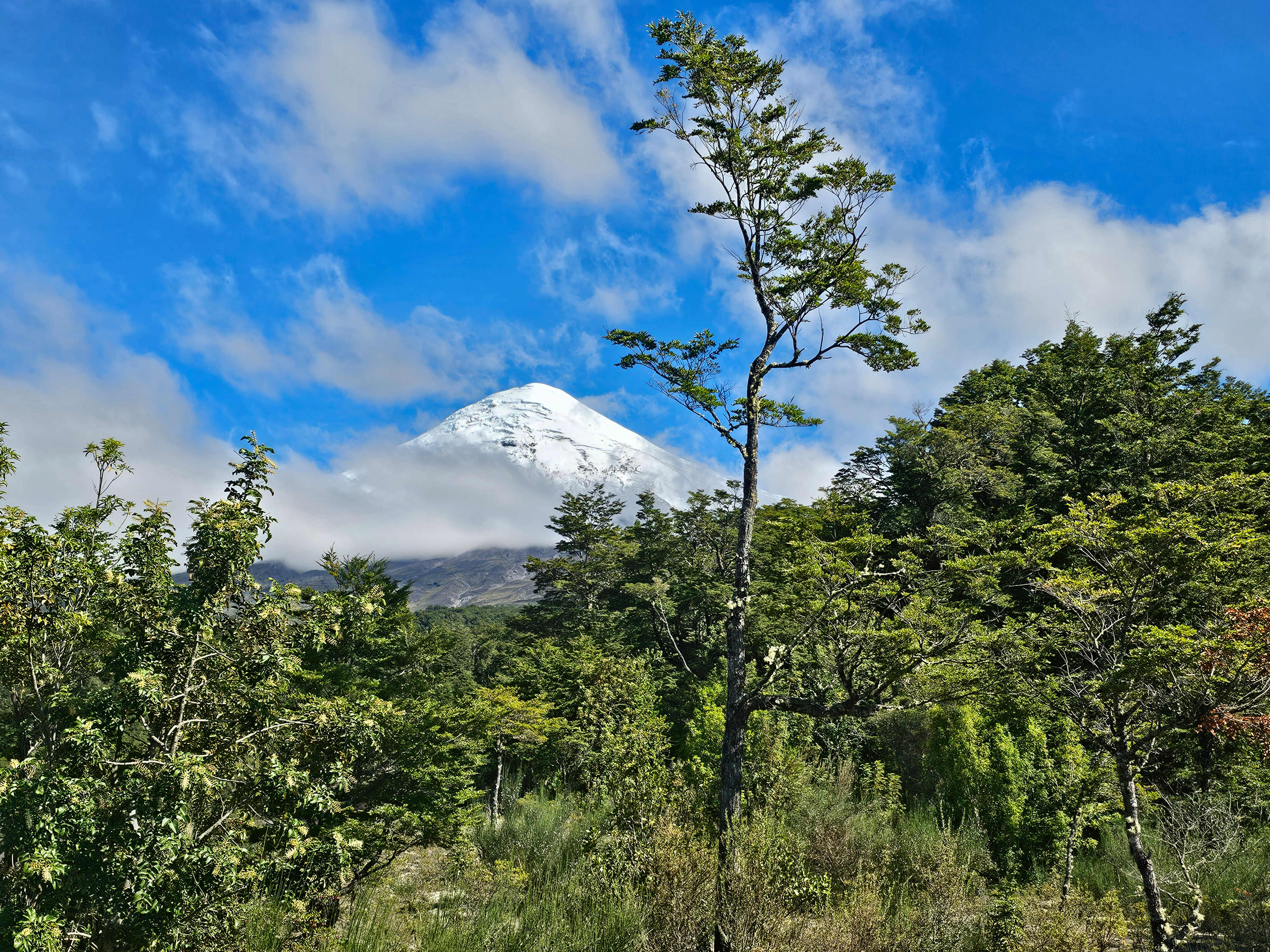 Chile